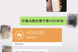 崇左专业要账公司